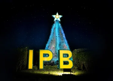 IPB lights ‘Solidarity Tree’ in Christmas Lighting Ceremony