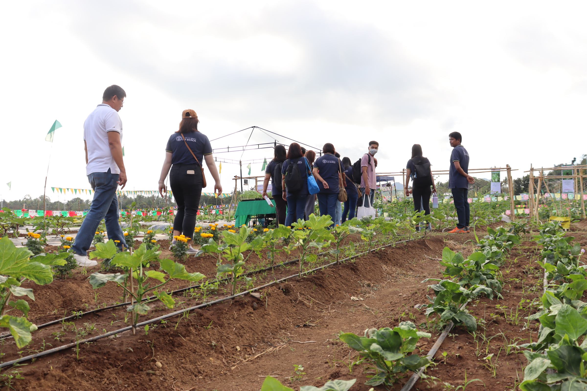 IPB and partner institutions organize CAFS Farmers’ Field Day