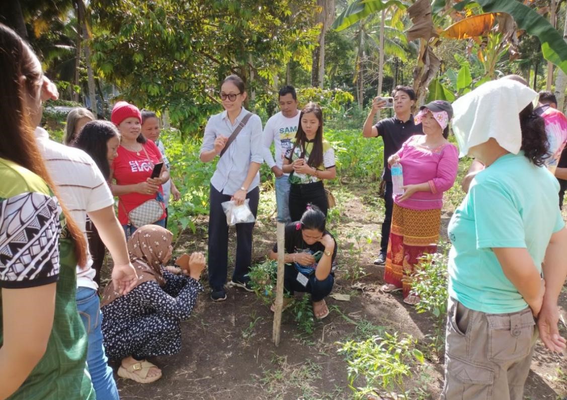 IPB organizes a series of trainings on “Organic Vegetable Breeding and Seed Production”